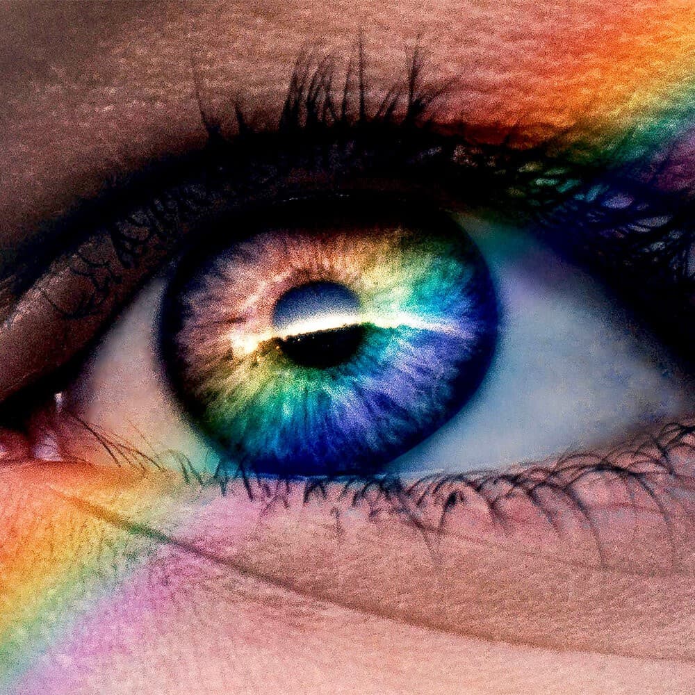 Der queere Blick: Susan Sontag Sehen und gesehen werden