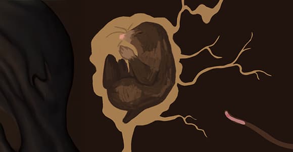 Wir stehen drauf! Kostenfreier Aktionstag zum Thema Boden