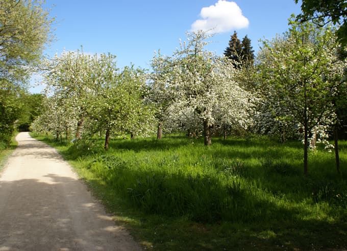 Offene Führung für Sechs- bis Zehnjährige durch Finkens Garten