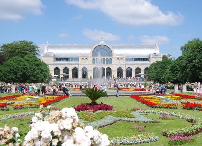 Dahlien-Pracht im Botanischen Garten