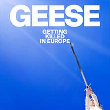 Geese