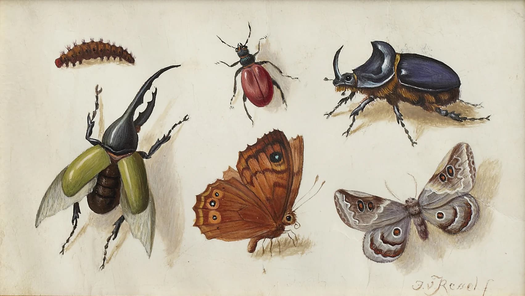 Wirklich. Kunst und Realität 1400-1900