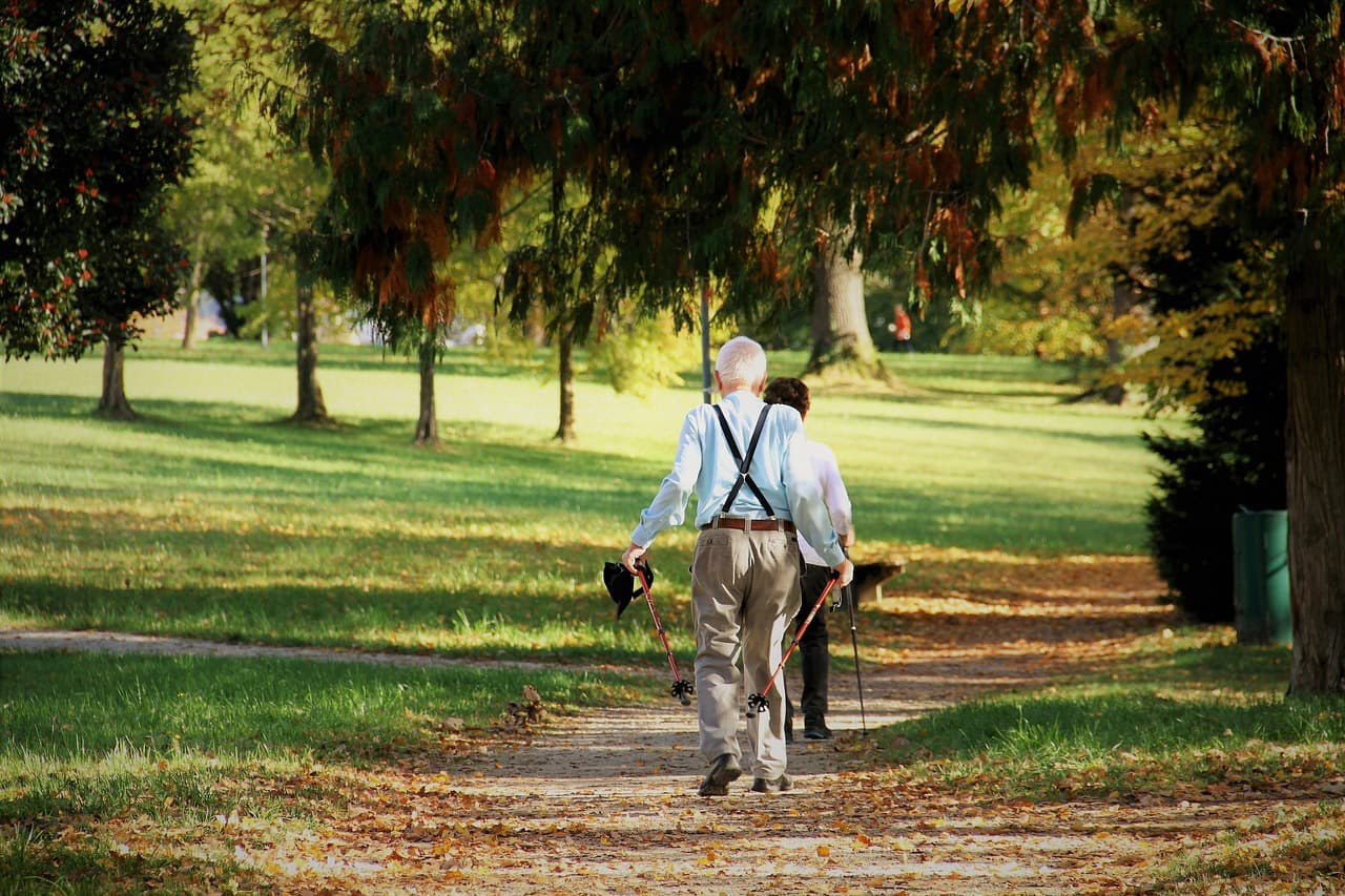 NEU! Walking mit Fitnessübungen im Kottenforst