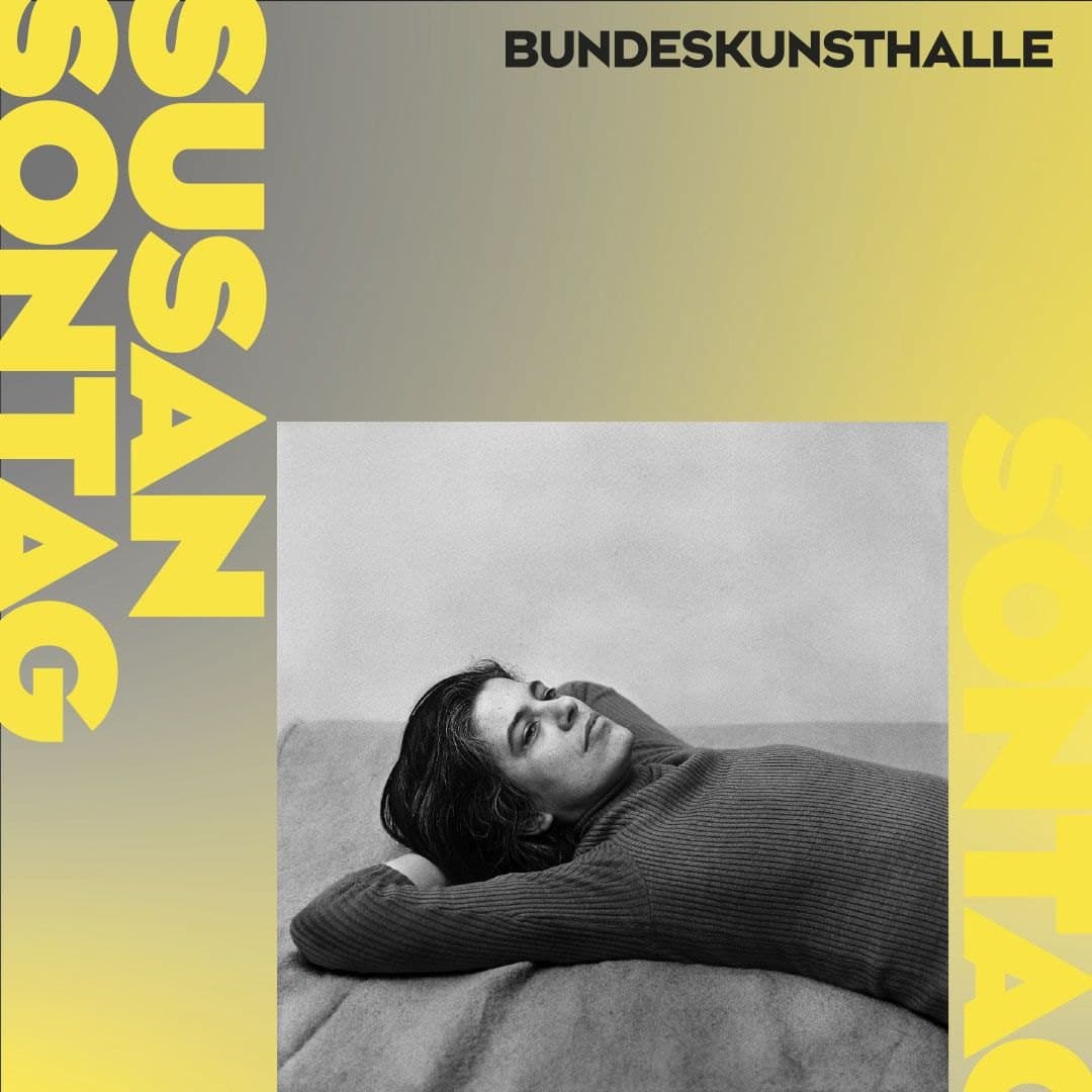 SUSAN SONTAG. SEHEN UND GESEHEN WERDEN